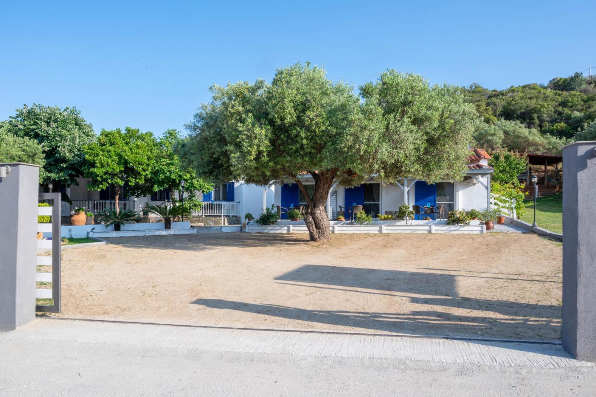 Studios Vagelis Kalamitsi  Exterior photo