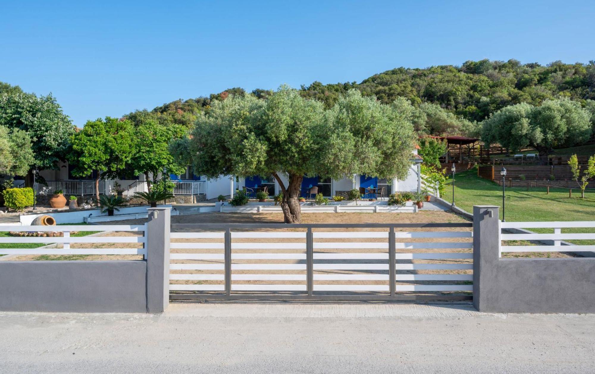 Studios Vagelis Kalamitsi  Exterior photo